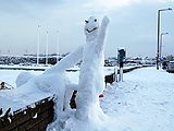 snowman_photo.jpg